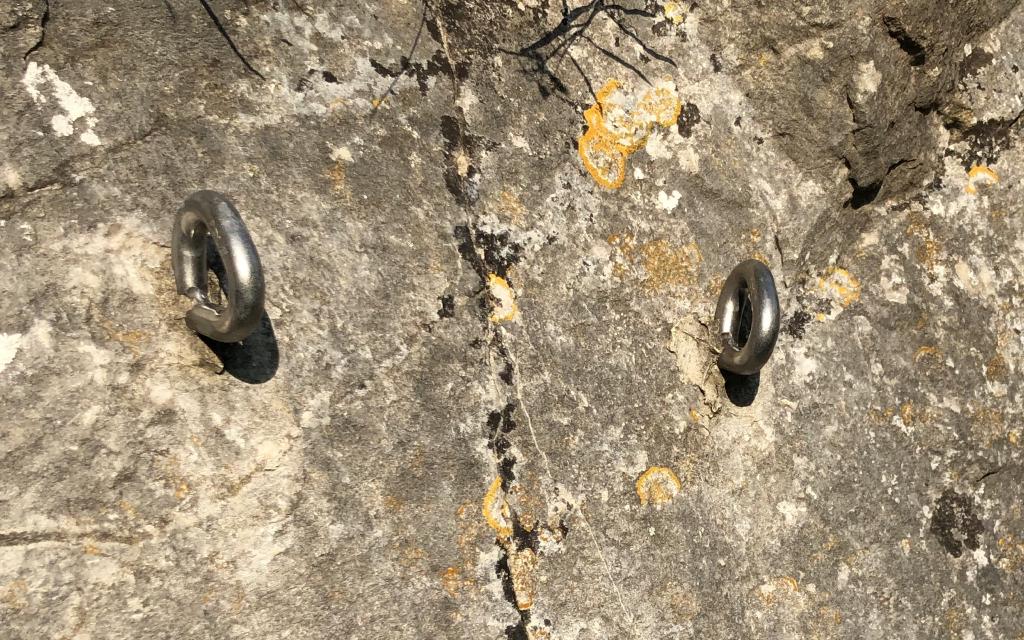 Two small, shiny glue-in bolts.